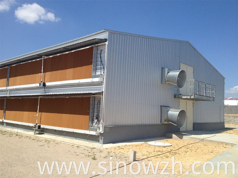 Metal Structure Poultry